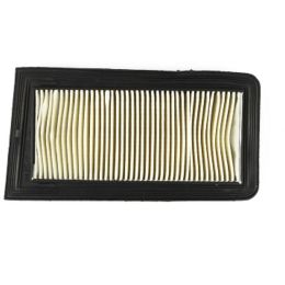 FILTRO ARIA OEM 13780-10G00-000