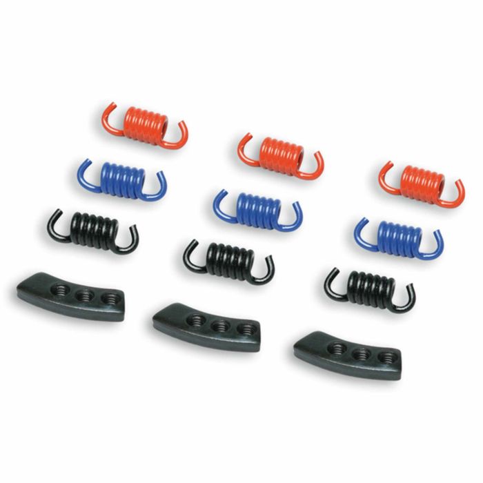 www MALOSSI 29 8747 Clutch springs - BRIXIAMOTO.com