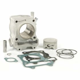Haut moteur cylindre MALOSSI 3111627
