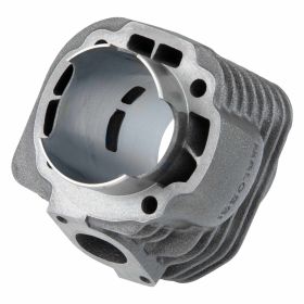 Zylinderkit MALOSSI 3111374