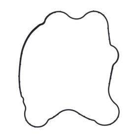 Guarnizione coperchio valvole JMP originale 5414859 per Indian