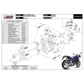 MIVV GP genehmigte Carbon Slip-On Dual-Auspuffanlage für DUCATI Monster S2R 1000