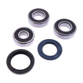 Kit cuscinetti ruota JMP completo 180 con anello di tenuta per Kawasaki