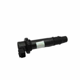 MAGNETI MARELLI Zündspule für YAMAHA FZ8