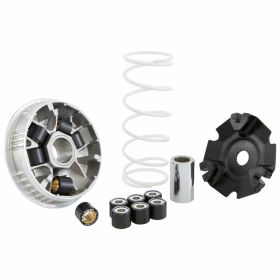 Variomatik MALOSSI 5115639