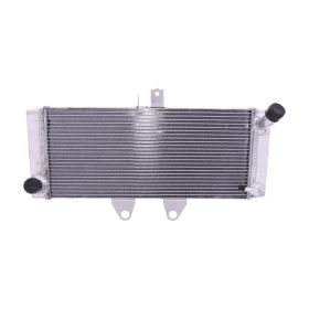 JMP KHL_X06 Wasser-Radiator für Suzuki GSF 1250 SA BANDIT ABS