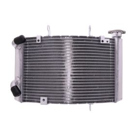 JMP TRS-R-676 Wasser-Radiator für Triumph STREET TRIPLE