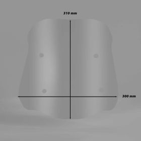 Pare-brise fumé ISOTTA 300x295mm pour BMW F 900 GS