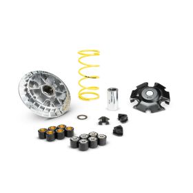 MALOSSI Multivar 2000 Variator 5119873