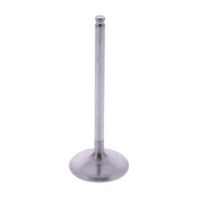 ATHENA VI-485208T Intake Valve