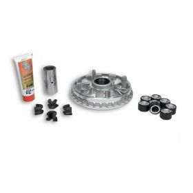 Variomatik MALOSSI 5115501