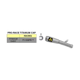 ARROW Pro-Race Titan Slip-On Auspuff für Honda CBR 1000 RR-R