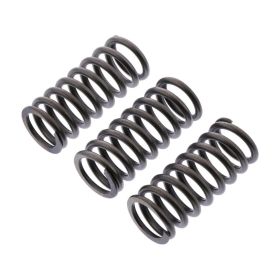 Molla frizione EBC CSK244 per Triumph