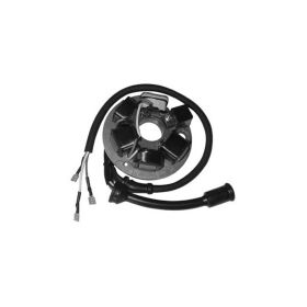 DUCATI ENERGIA stator à 6 pôles avec plaque pour PIAGGIO VESPA PK S 50