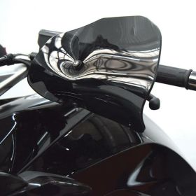 Paramani ISOTTA fumè scuro per BMW k 1600 grand america