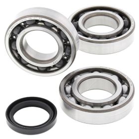 KIT DE ROULEMENT D'ARBRE MOTEUR ALL BALLS 24-1090 AVEC JOINT D'ÉTANCHÉITÉ POUR POLARIS