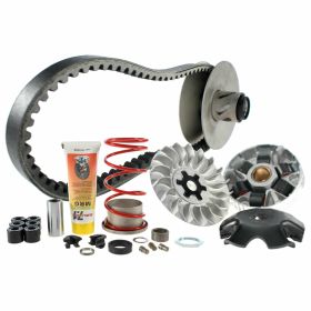 Variomatik MALOSSI 6112811