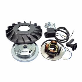 Accensione POLINI 12V Vespa Px-Pe