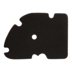 SIP Double-Layer Air Filter Sponge for Vespa GTS/GTS Super