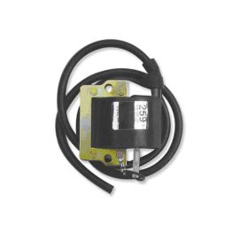 Bobina accensione 12V 101 OCTANE 4037
