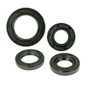 Motor-Dichtungs-Kit 101 OCTANE BT17304