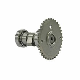 Nockenwelle 101 OCTANE BT3001