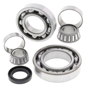 Kit revisione cuscinetti differenziale ALL BALLS posteriori 25-2038 per Kawasaki KLF 300