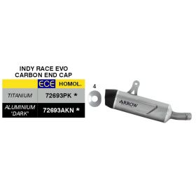 ARROW genehmigte Slip-On Auspuff Indy Race EVO Titan Carbon Kappe Voge Valico 800DSX Rally