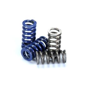 Ressorts d'embrayage POLINI 2g pour Speed Clutch Evolution 2