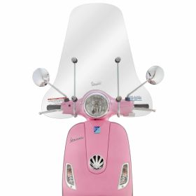 Parabrezza PIAGGIO chiaro 570x685 mm omologato con materiale per montaggio