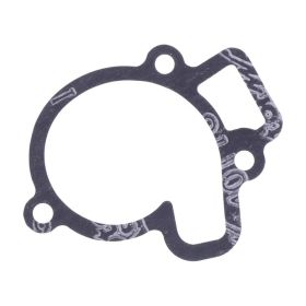 Originale Wasserpumpendichtung JMP 16.74960.000 für Beta