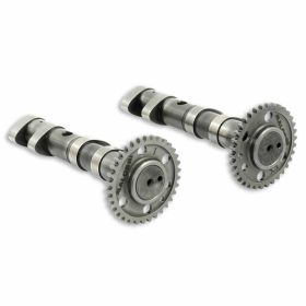 Motorrad nockenwelle MALOSSI 5913783
