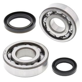 Kit cuscinetti albero motore ALL BALLS 24-1091 con anello tenuta per Suzuki RMX 250