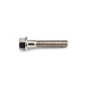 Stage6 R/T Titan Schrauben M6X30mm