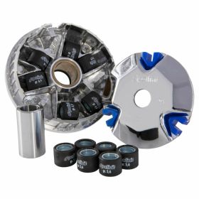Variateur POLINI HONDA 50 ZOOMER 4T