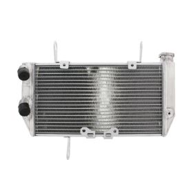 JMP TRS-R-607 Water Radiator for Ducati MULTISTRADA