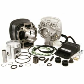 Zylinderkit MALOSSI 3112044
