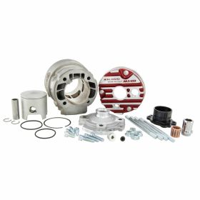 Zylinderkit MALOSSI 3115374
