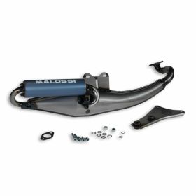 Pot echappement moto MALOSSI 3217413