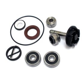 Sgr Wasserpumpen-Reparaturset für Piaggio 250 Beverly/X9