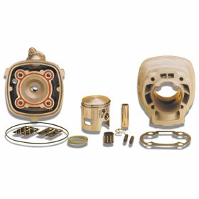 Zylinderkit MALOSSI 31 8466