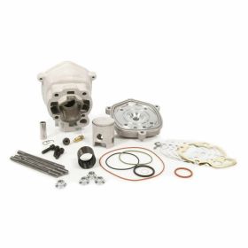 Haut moteur cylindre MALOSSI 3112381