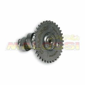 Arbre à cames de moto MALOSSI 5914143