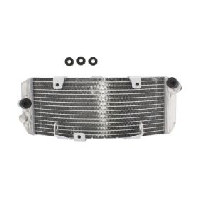 Radiatore acqua JMP TRS-R-601 per Yamaha XP 530