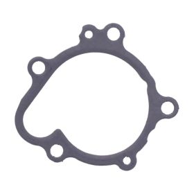 Guarnizione pompa acqua originale JMP 11061-0795 per Kawasaki