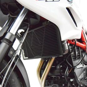 ISOTTA Kühler-/Ölfilter-Schutzgitter für BMW F 700 GS