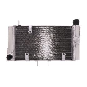 JMP Wasserheizkörper 2019040103 für Honda NT 650