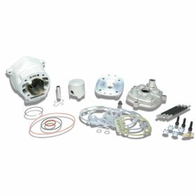 Haut moteur cylindre MALOSSI 3112988