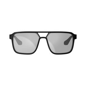 LEATT TheViz Pyrenees Polarized Sonnenbrille Schwarz Silber Linsen 17%