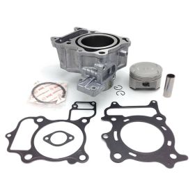 Cilindro Completo HERT per Honda Sh300 2007-2020